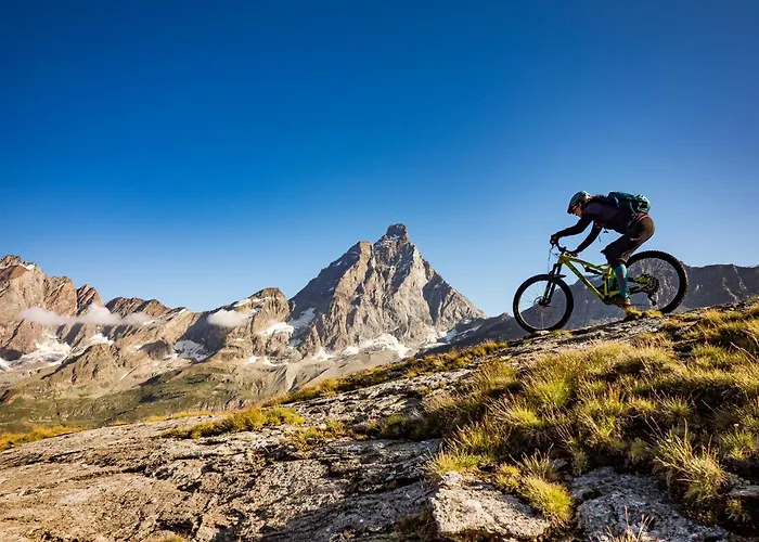 Quadrilocale Panoramico A 50m Dalla Seggiovia Cretaz - As8 *