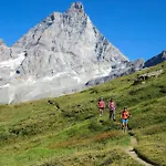 Quadrilocale Panoramico A 50m Dalla Seggiovia Cretaz - As8 *